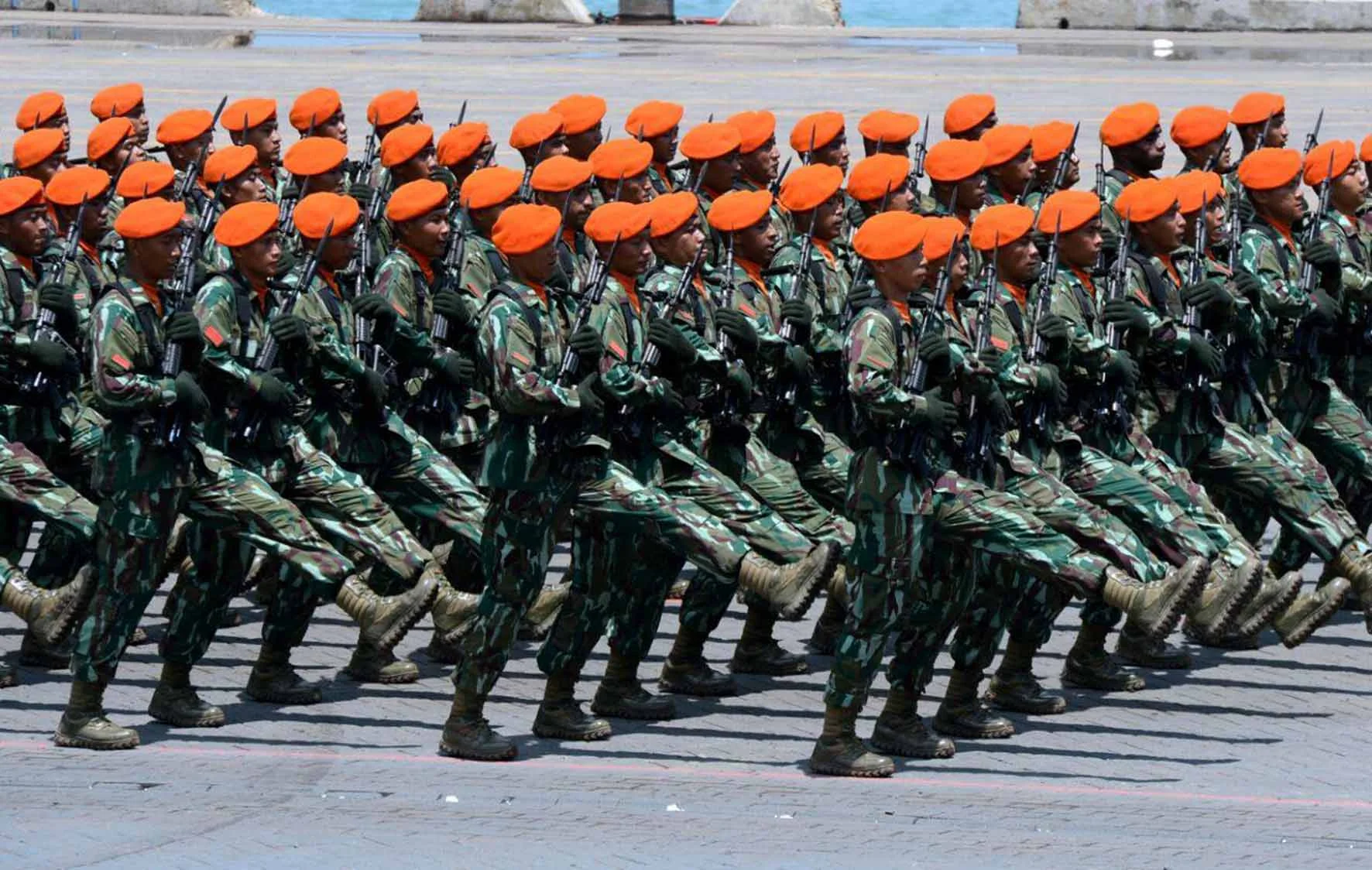 apa itu parade tni