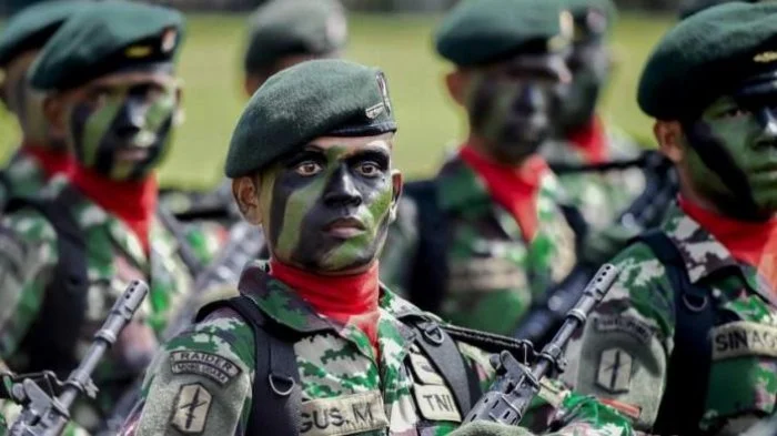 Apa Itu TNI