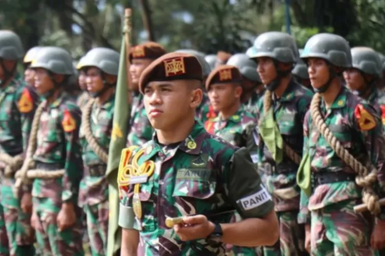 Gaji Bintara