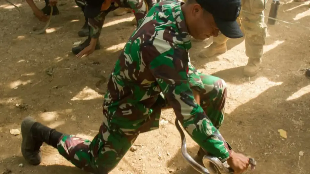 Akademi Angkatan Darat